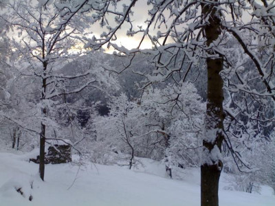 K640_03022009471.JPG