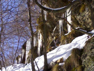 K640_01012009413.JPG
