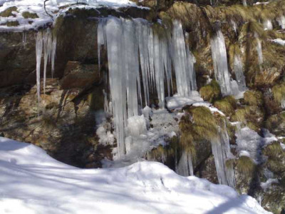 K640_01012009414.JPG