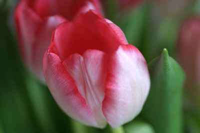 IMG_5613a.jpg