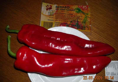 01_22_paprika_romeo_v.hofer.jpg