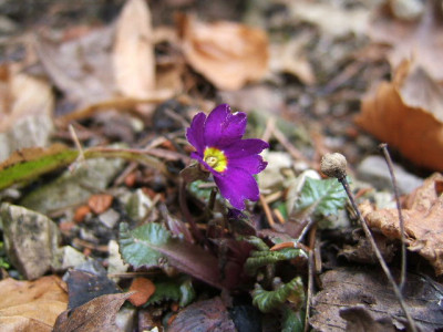 DSCF6139.JPG