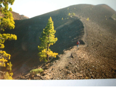 La_Palma_1.94_6.jpg