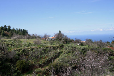 La_Palma77a.jpg