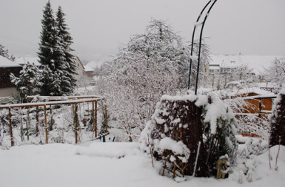 Winter_im_Februar_0010__0010__2188.jpg