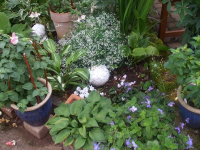 Kopie_von_DSCF1378.JPG