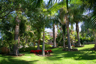 La_Palma022a.jpg