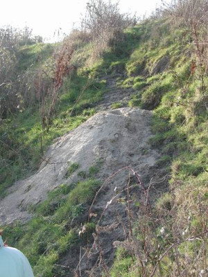 Groenanderung_Drehen_von_Egeskov_Februar_2009_091.jpg