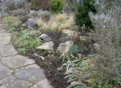 nordl.steingarten-090209.jpg