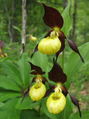 DSCF8940.JPG