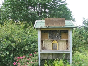 Bienenhotel.jpg