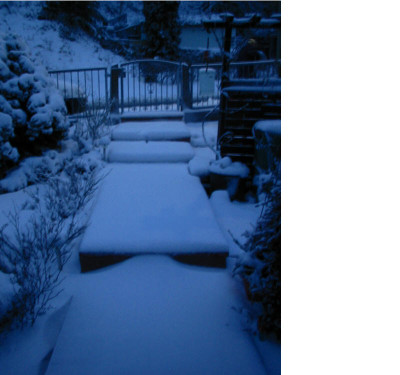 Winter_11.02.09.jpg