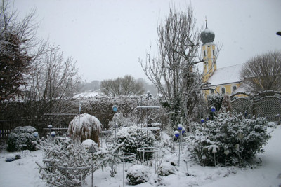 Winter2809a.jpg