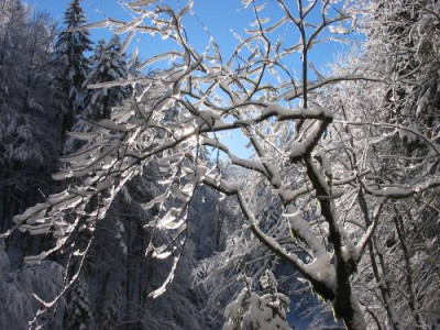 Allgaeu3.jpg
