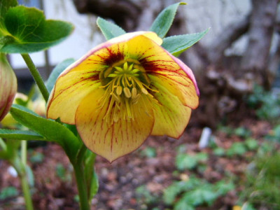 DSCF8678.JPG