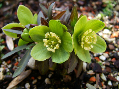 DSCF8613.JPG