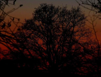 abend2.jpg
