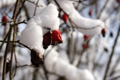 Claudi-Winter-11.jpg