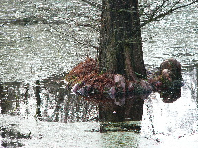 Boga-Jan-7.jpg