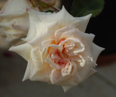Charles_Dingee_0010__29113.jpg