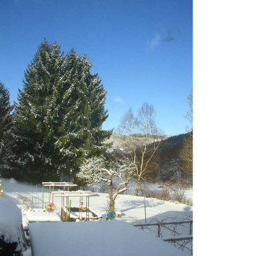 Winter_14.02.09.jpg
