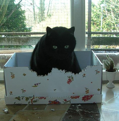 DSCN4030.JPG