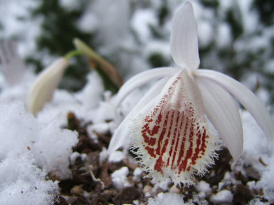 DSCF6289.JPG