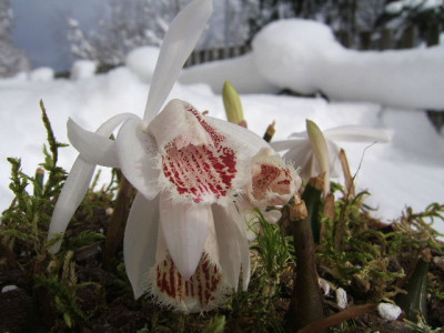 DSCF6294.JPG