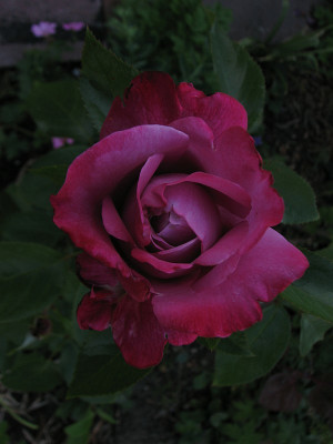 blueriver08.jpg