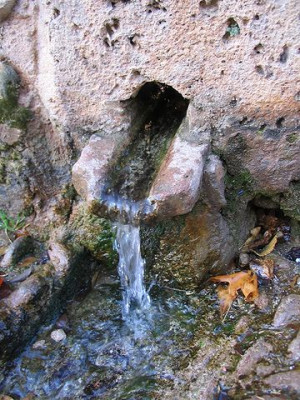 5a_Wasserquelle.jpg