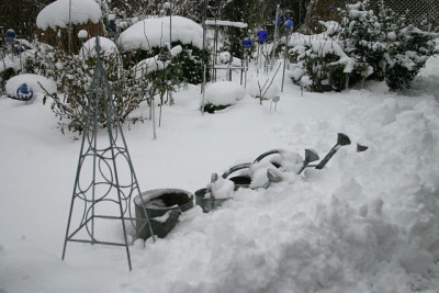 Winter3209a.jpg
