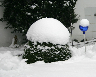 Winter3009a.jpg