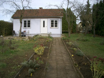 IMGP6522.JPG