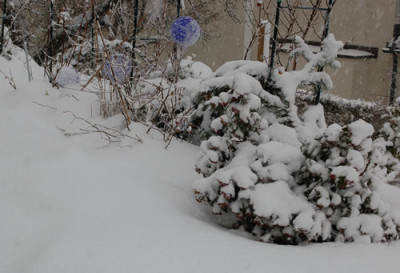 Schneetreiben__2304.jpg