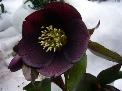 P1050854.JPG