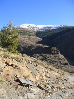 13_Puerto_de_la_Ragua.jpg