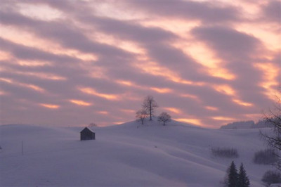 19.02.2009.10.JPG