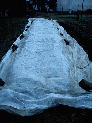 IMAG0075.JPG