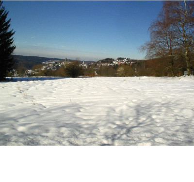 Hunderunde_19.02.09.jpg