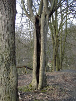 PICT1532.jpg