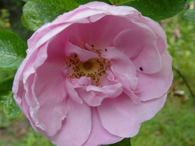 Bilder_071.jpg