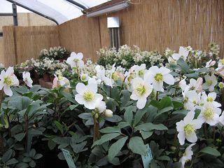 k-IMG_0376.jpg