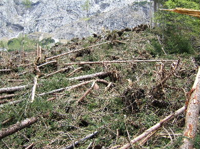 DSCF1177.JPG