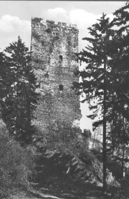 BurgturmGrenzau.jpg