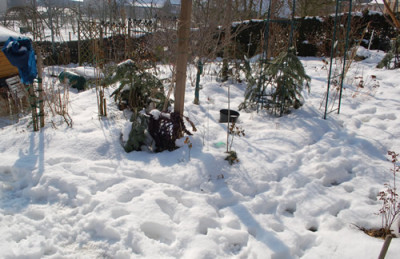 Winter_im_Februar_0010__2390.jpg