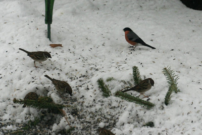 IMG_6111.jpg