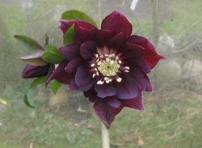 no_1_mein_2009.JPG