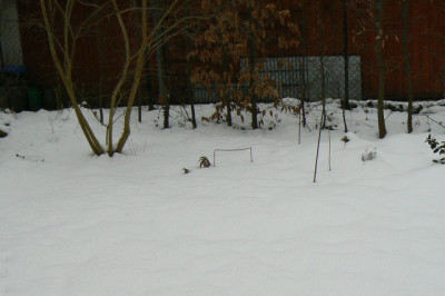 090221_076_a.jpg
