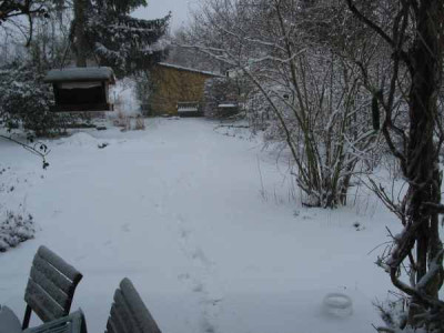 IMG_0101.JPG