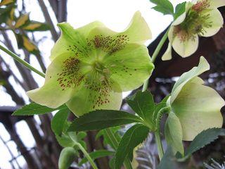 k-IMG_0423.jpg